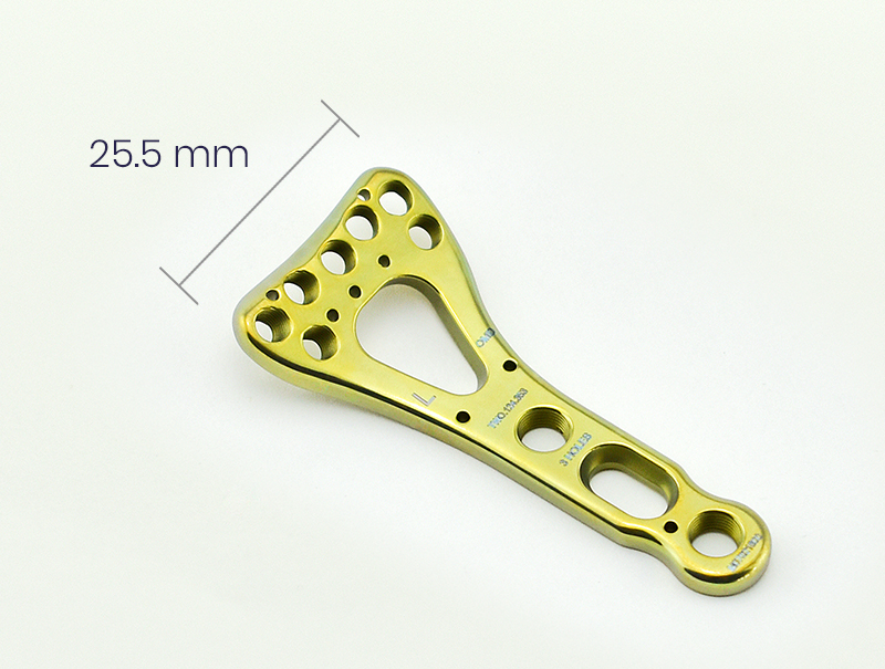 distal radius 2.4mm